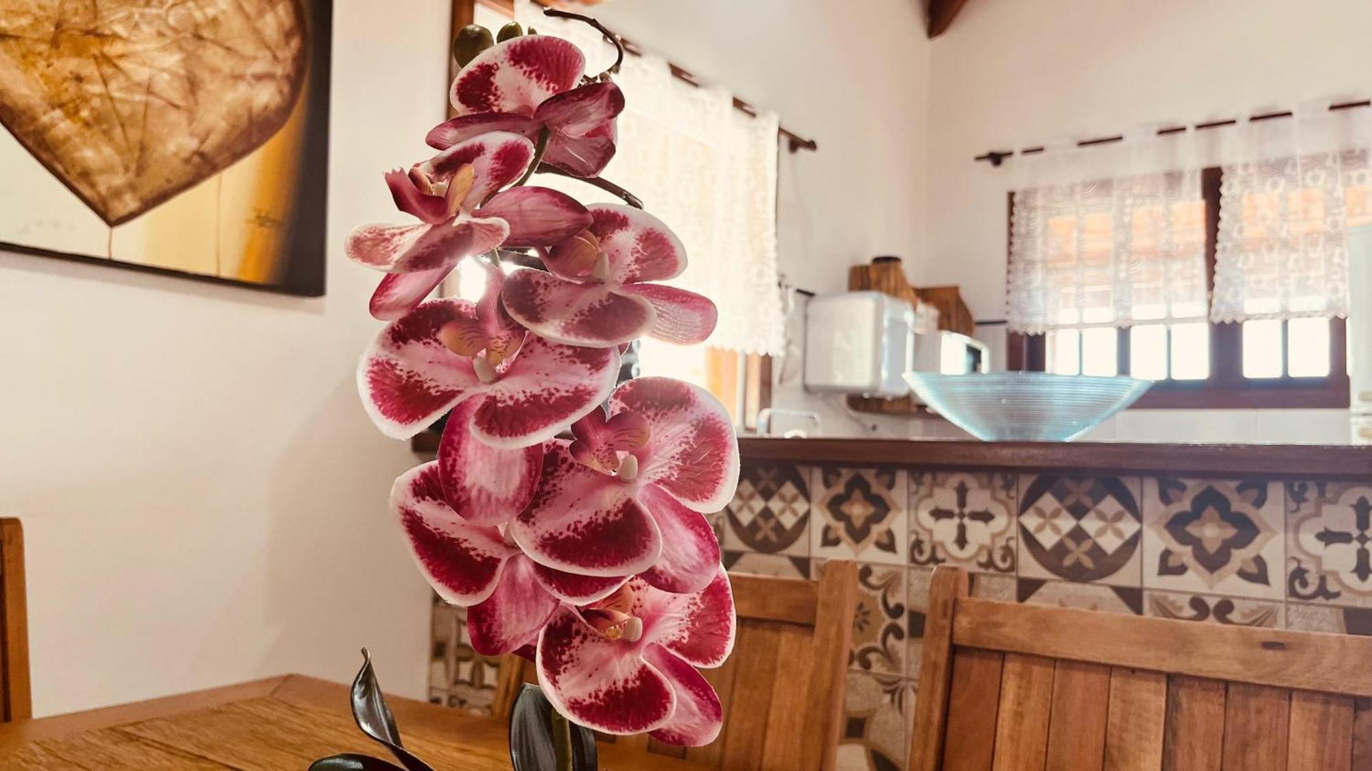 Casa Temporada Ilhabela Villa Екстериор снимка